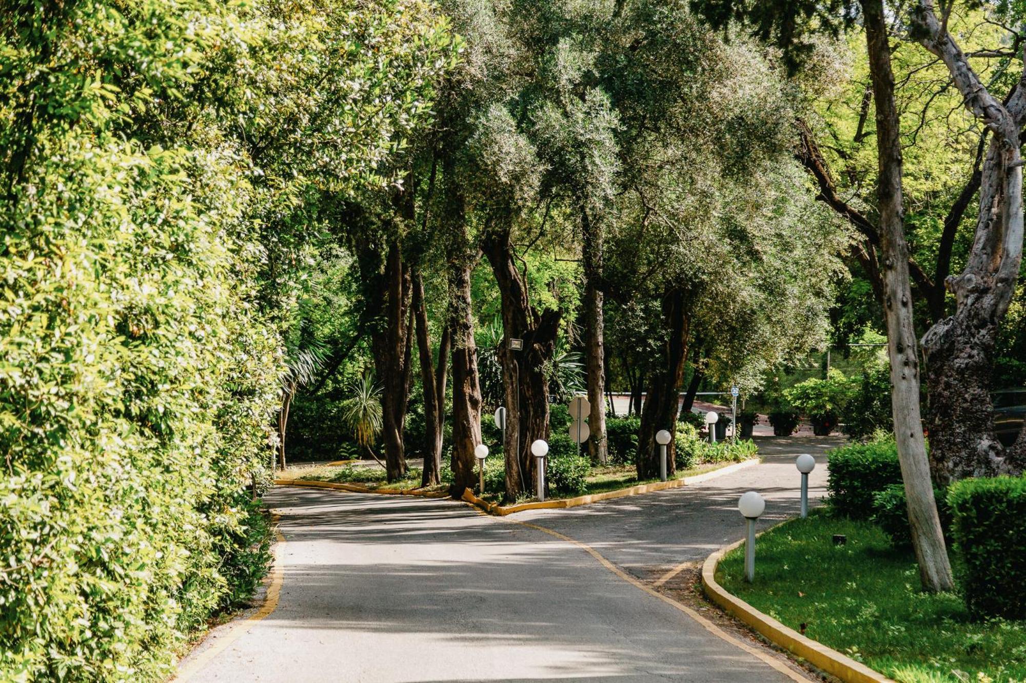 Corfu Holiday Palace Perama  Bagian luar foto A street in the neighborhood