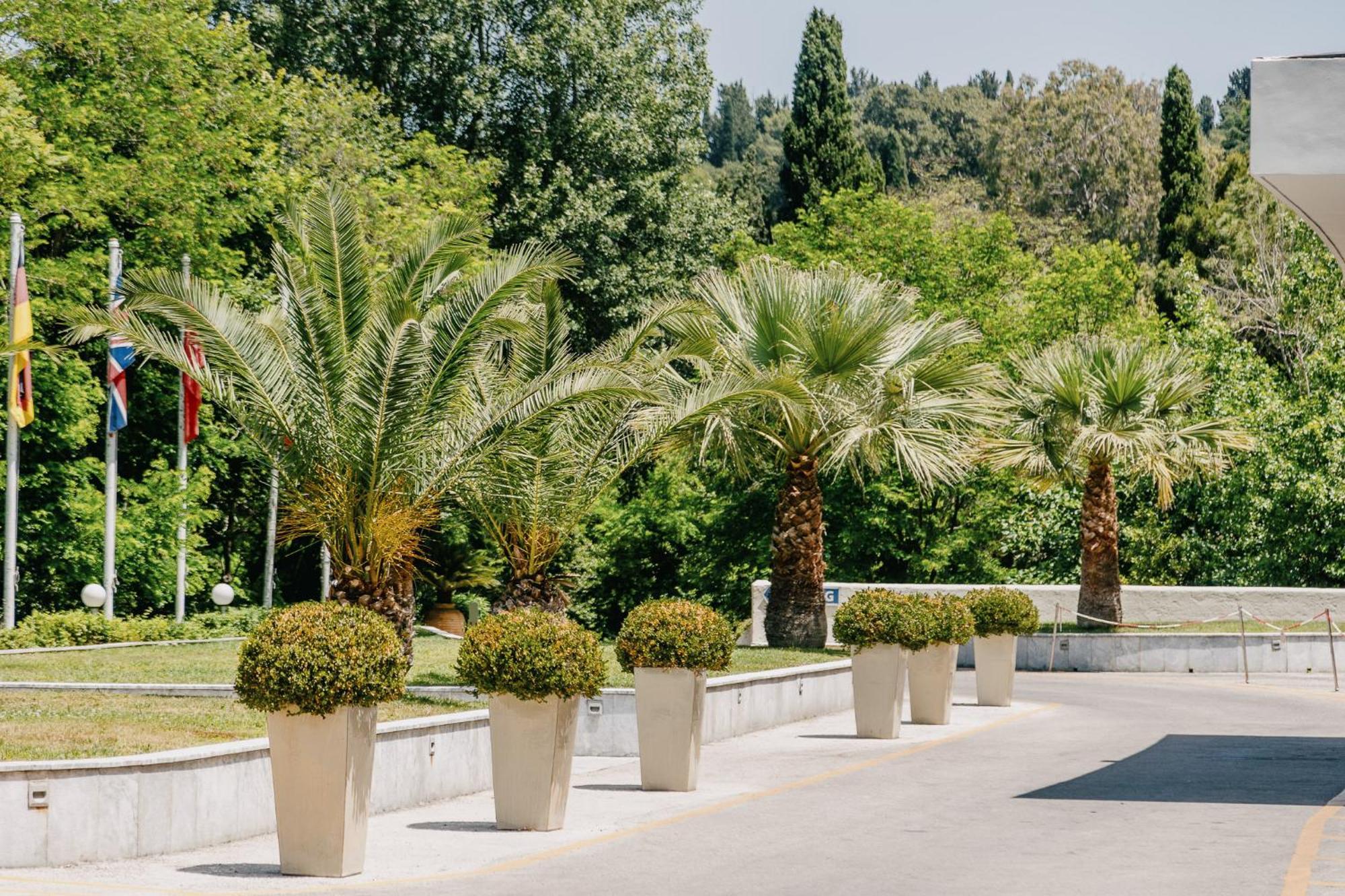 Corfu Holiday Palace Perama  Bagian luar foto Phoenix canariensis in pots